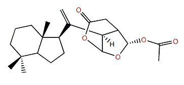 Chelonaplysin C